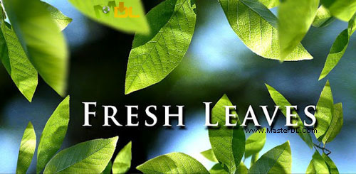 Fresh-Leaves