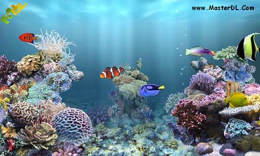 aniPet Aquarium Live Wallpaper