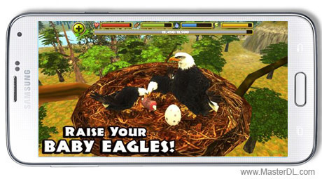 Eagle Simulator 